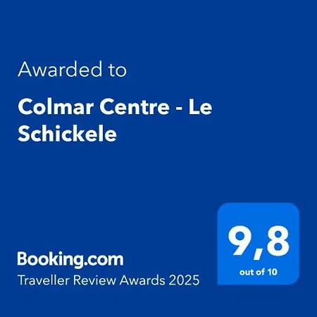 شقة Centre - Le Schickele - Garage Prive - Climatise كولمار