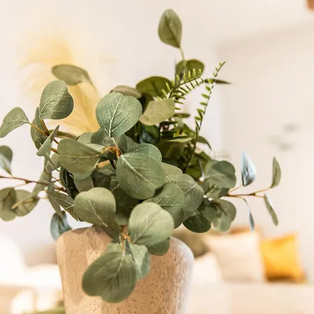 Centre - Le Schickele - Garage Prive Colmar