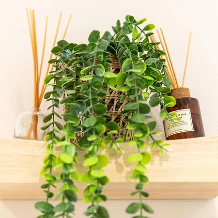 Centre - Le Schickele - Garage Prive *