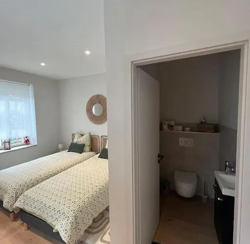 Апартаменты Centre - Le Schickele - Garage Prive - Climatise *