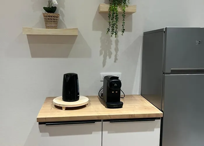 Апартаменты Centre - Le Schickele - Garage Prive - Climatise *