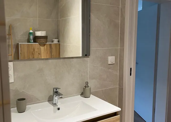 Centre - Le Schickele - Garage Prive - Climatise *