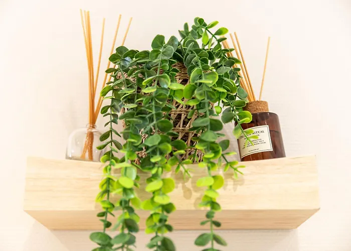 Centre - Le Schickele - Garage Prive - Climatise *