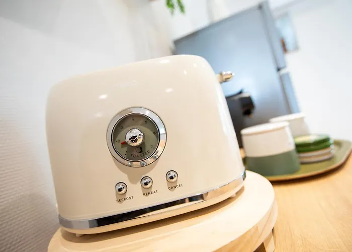 Centre - Le Schickele - Garage Prive - Climatise * Кольмар