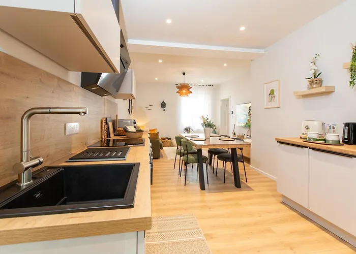 Centre - Le Schickele - Garage Prive - Climatise