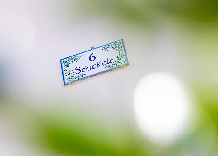 Апартаменты Centre - Le Schickele - Garage Prive - Climatise Кольмар